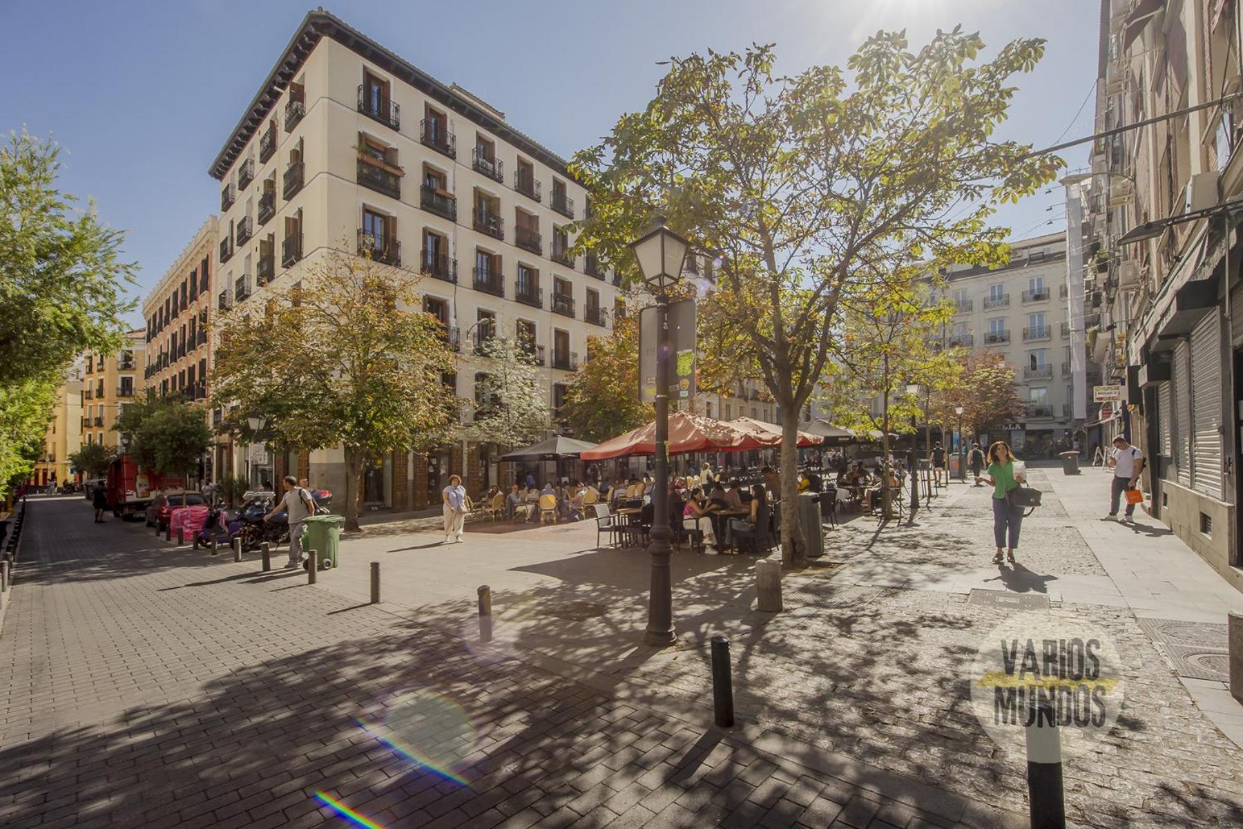Nuevo Atico Loft 1hab 3pax En La Plaza De Chueca Apartment Madrid